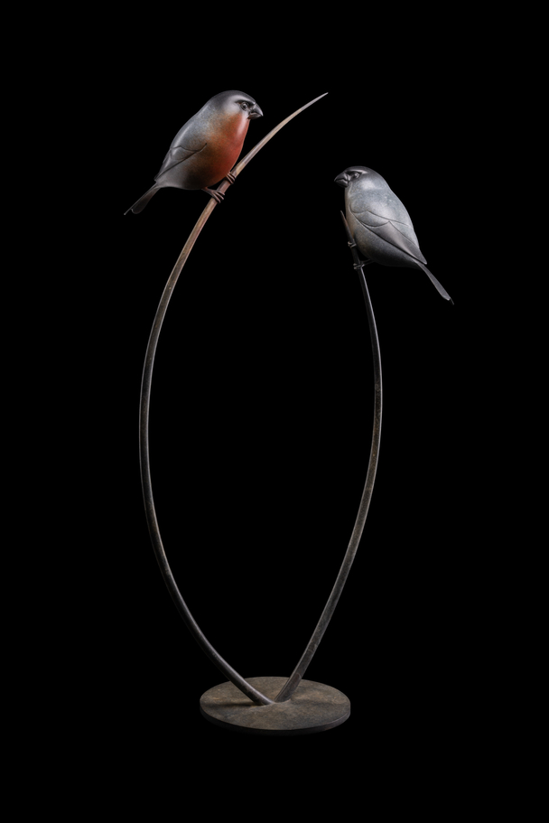 ADAM BINDER - bull finches (edition 14/24)