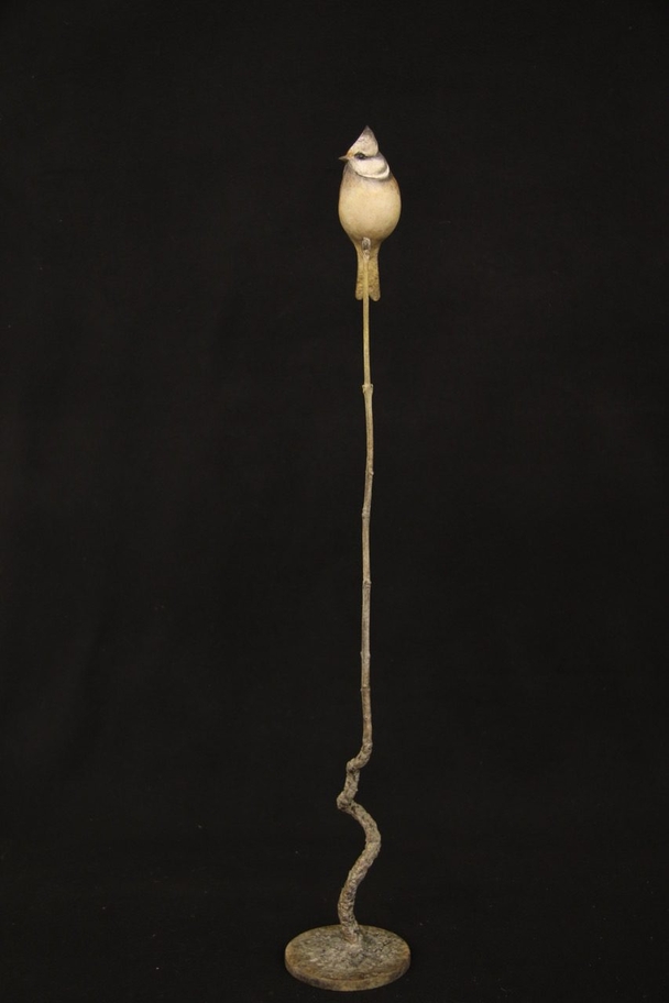 ADAM BINDER - crested tit (edition 16/24)