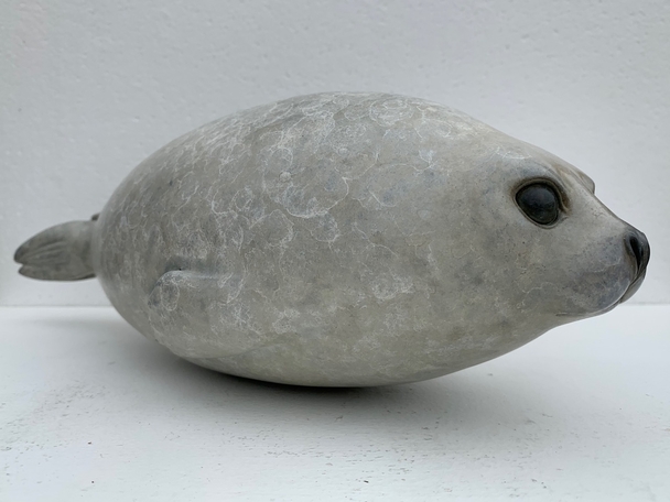 ADAM BINDER - harp seal pup (edition of 18)
