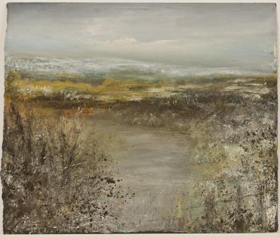 AMANDA HOSKIN - winter colours, dartmoor