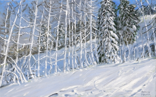 Snowy Trees, Les Arcs