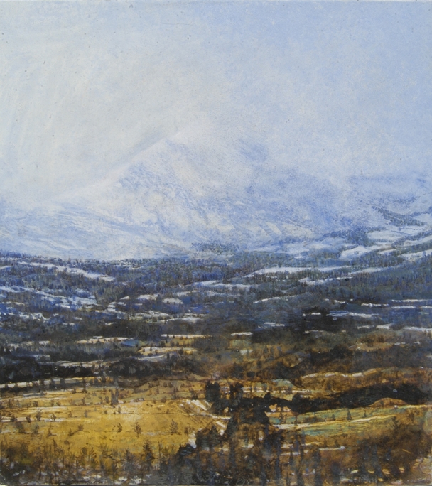 Magic Mountain Study