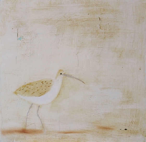 Andrew Squire - Curlew