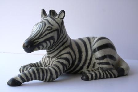 Zebra Foal
