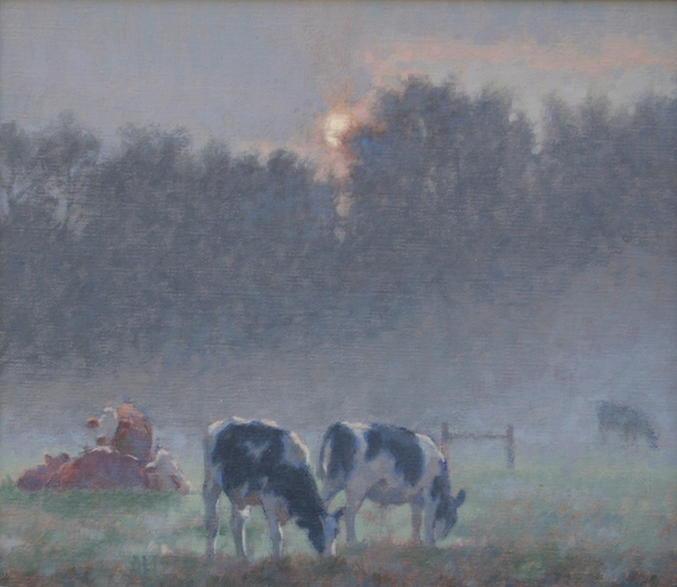 Cows, Calves and Sun Mid Way