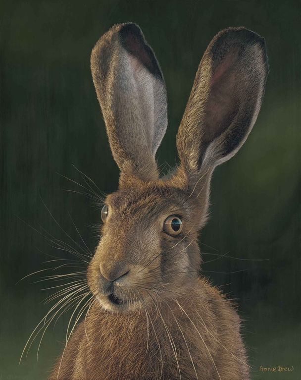 British Artist ANNIE DREW - Hare VI