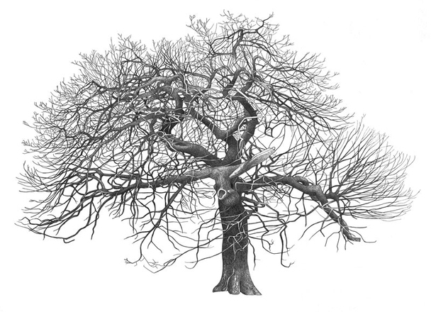 Tree on the Heath III