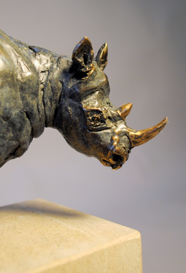 April Young - Protected Black Rhino