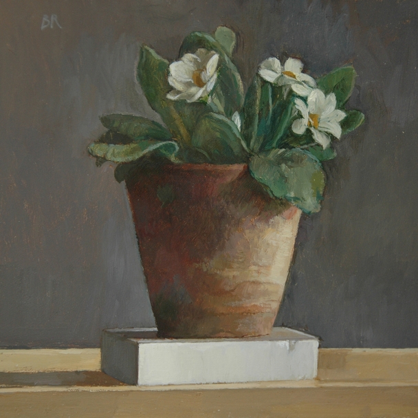 Barbara Richardson - Primrose