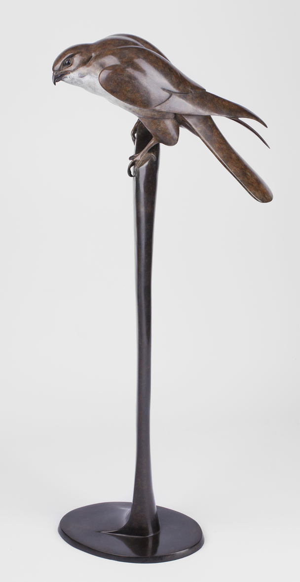 Kestrel (Edition 14/25)