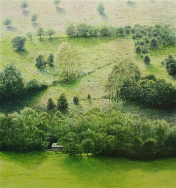 CERI AUCKLAND DAVIES - sunlit hillside