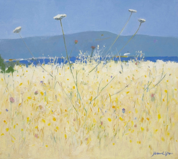 Field, Azille