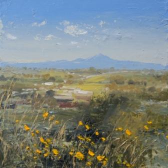 Wild Rocket, Chateauneuf du Pape 