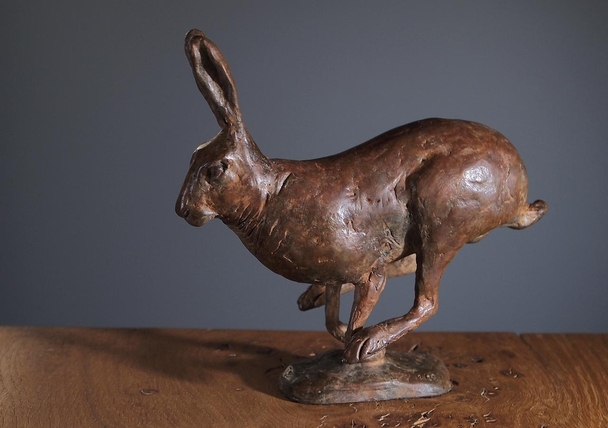 Damien Rochford - Running Hare