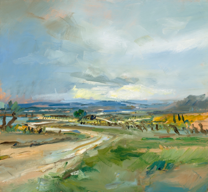 DAVID ATKINS - path through the vineyards, spain