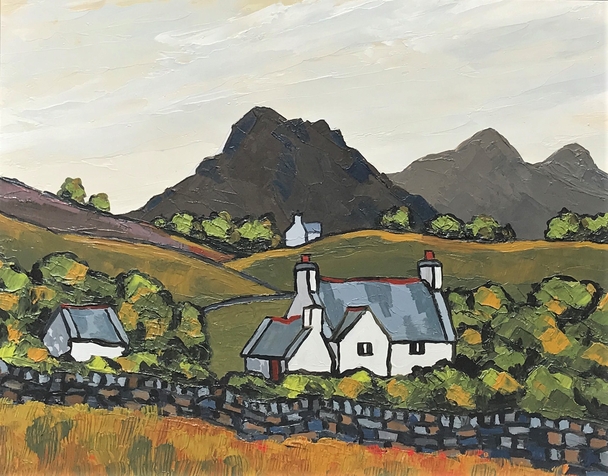 Cottages in the Moelwyns 