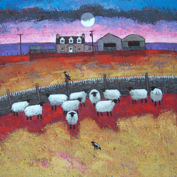 David Body - Sheltering Sheep
