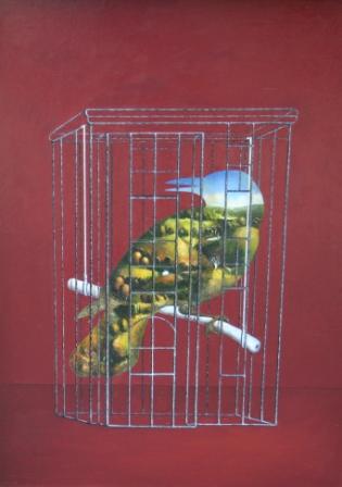 DAVID SCHOFIELD - waiting for spring