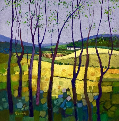 Springtime in the Glen