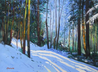 Woodland Snow