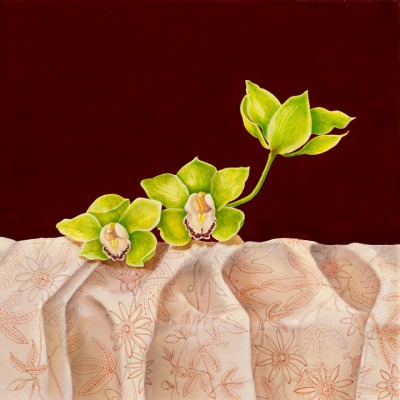 Deborah Cumming - Green Cymbidium