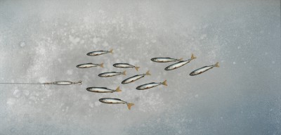 DONALD PROVAN - towing the line