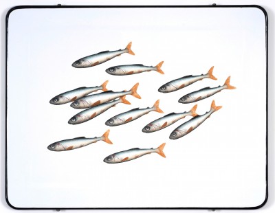 Scottish Artist Donald Provan - For the Chop