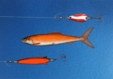 DONALD PROVAN - red alert