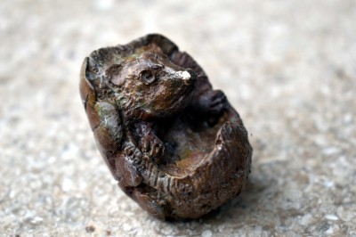 Hedgehog (Edition 2/48) 