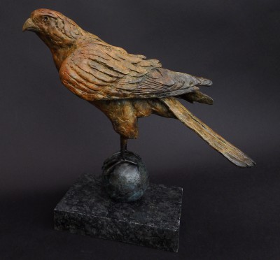 Kestrel (Edition 4/12)