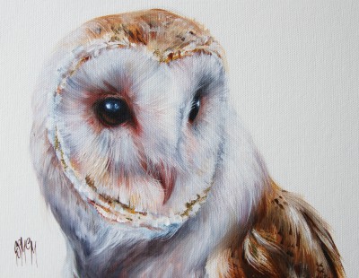Oriel - Barn Owl