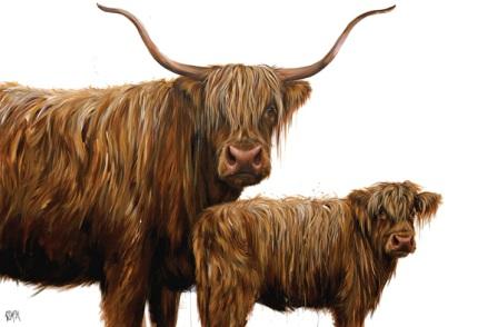 GEORGINA MCMASTER - the young pretender