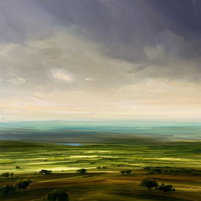 HARRY BRIOCHE - evening sun