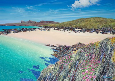Saligo Sea Pinks, Islay
