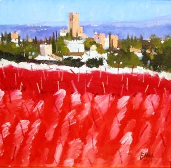 IAN ELLIOT - vines by san casciano