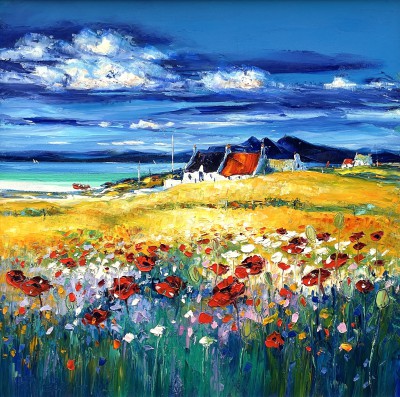 Wild Flowers, Isle of Skye