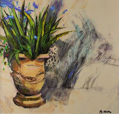 Agapanthus in a Pot