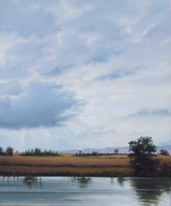 Bagenalstown Canal II