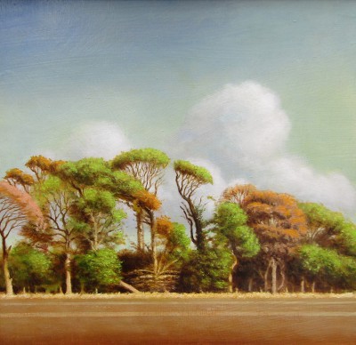 LOUIS S MCNALLY - edge of the field