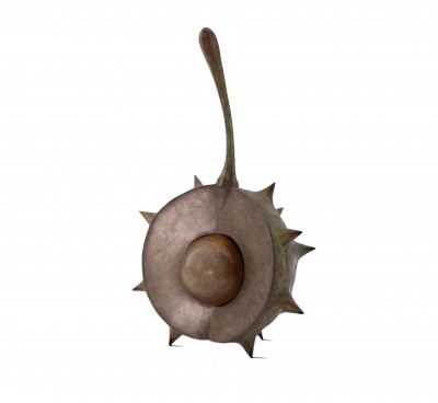 Pre Season (Edition 2/19)