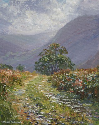 MARK PRESTON - sunlit lane, lanthwaite