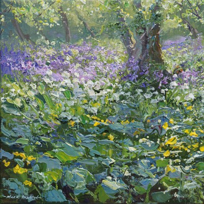 Spring Flowers, Clough Wood