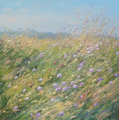 Meadow Flowers and Butterflies, Bonsall Moor