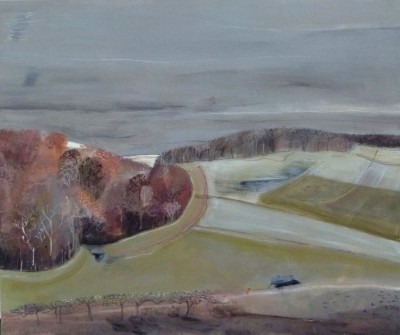 Evening Sun on Field Boundary