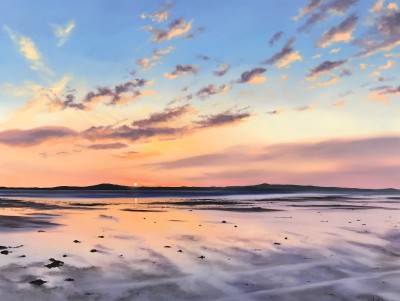 Gloaming Time and Lapwing Call