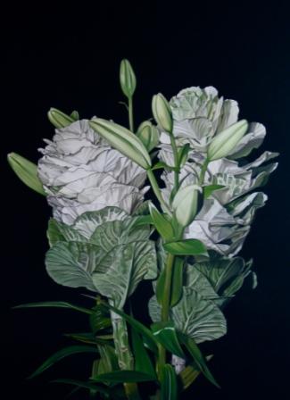 Paul Stone - Brassica and Lilies