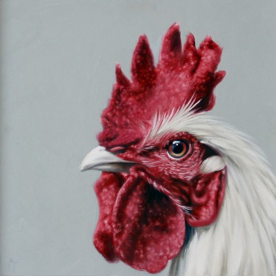 Chicken Study