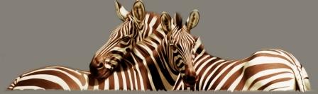 ROBINA YASMIN - just the two of us