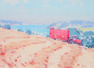 STEPHEN BROWN RBA - salcombe estuary