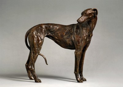 Greyhound, Head Turned Edition (13/15)